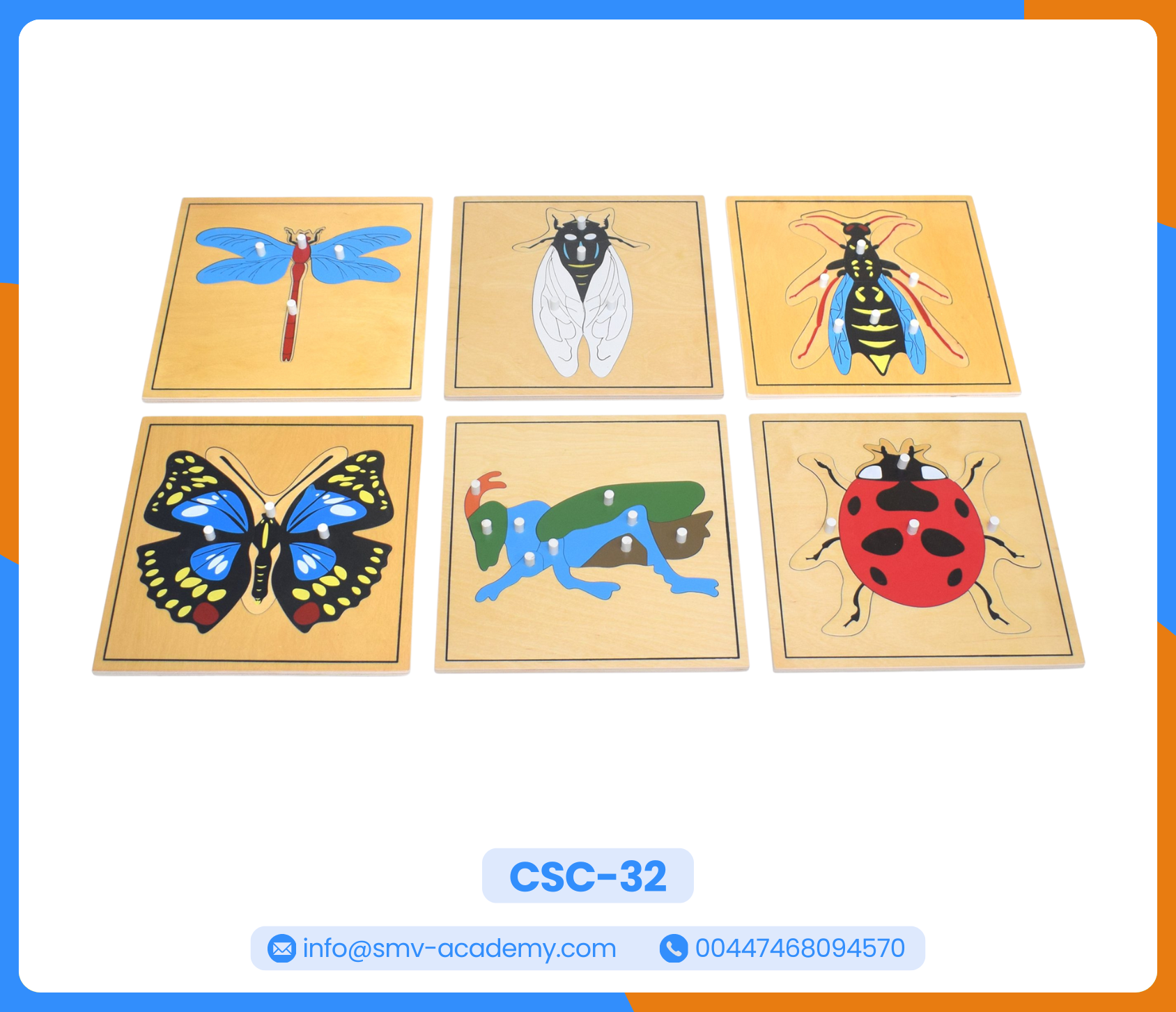 بازل أجزاء اليعسوب - Parts of a Dragon Fly Puzzle